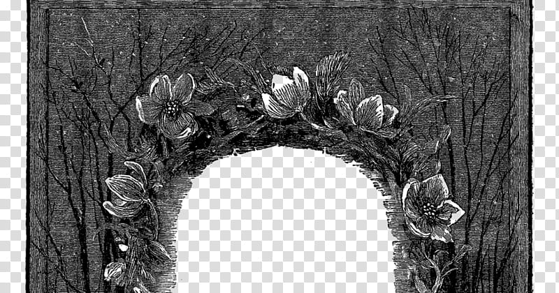 Black And White Frame, Black And White
, Frames, graphic Film, Film Frame, Drawing, Still Life , Painting transparent background PNG clipart