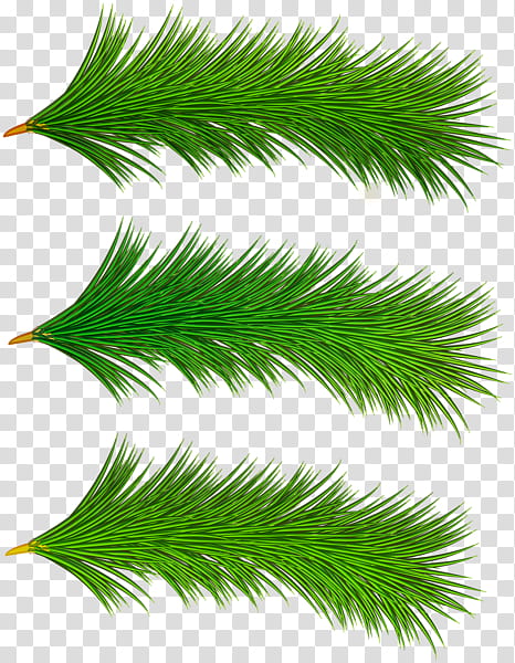 Christmas Tree Art, Branch, Decorative Christmas Wreath, Pine, Fir, Art Museum, Twig, Frames transparent background PNG clipart
