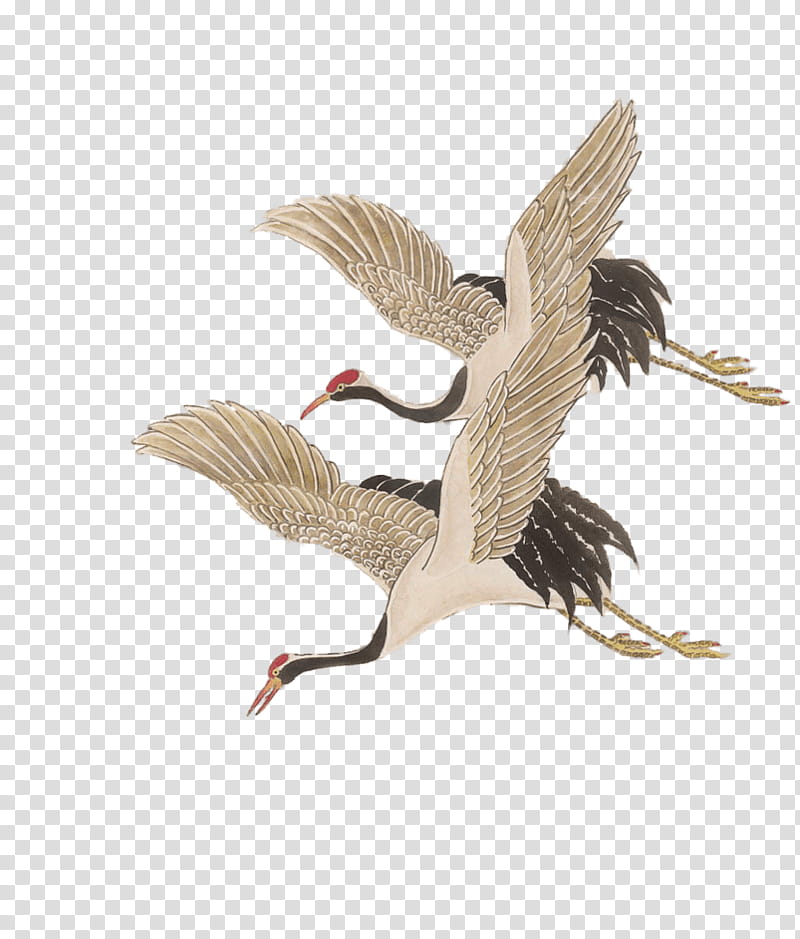 Crane Bird, Redcrowned Crane, Blue Crane, Sandhill Crane, Black Crowned Crane, Grey Crowned Crane, Siberian Crane, Painting transparent background PNG clipart