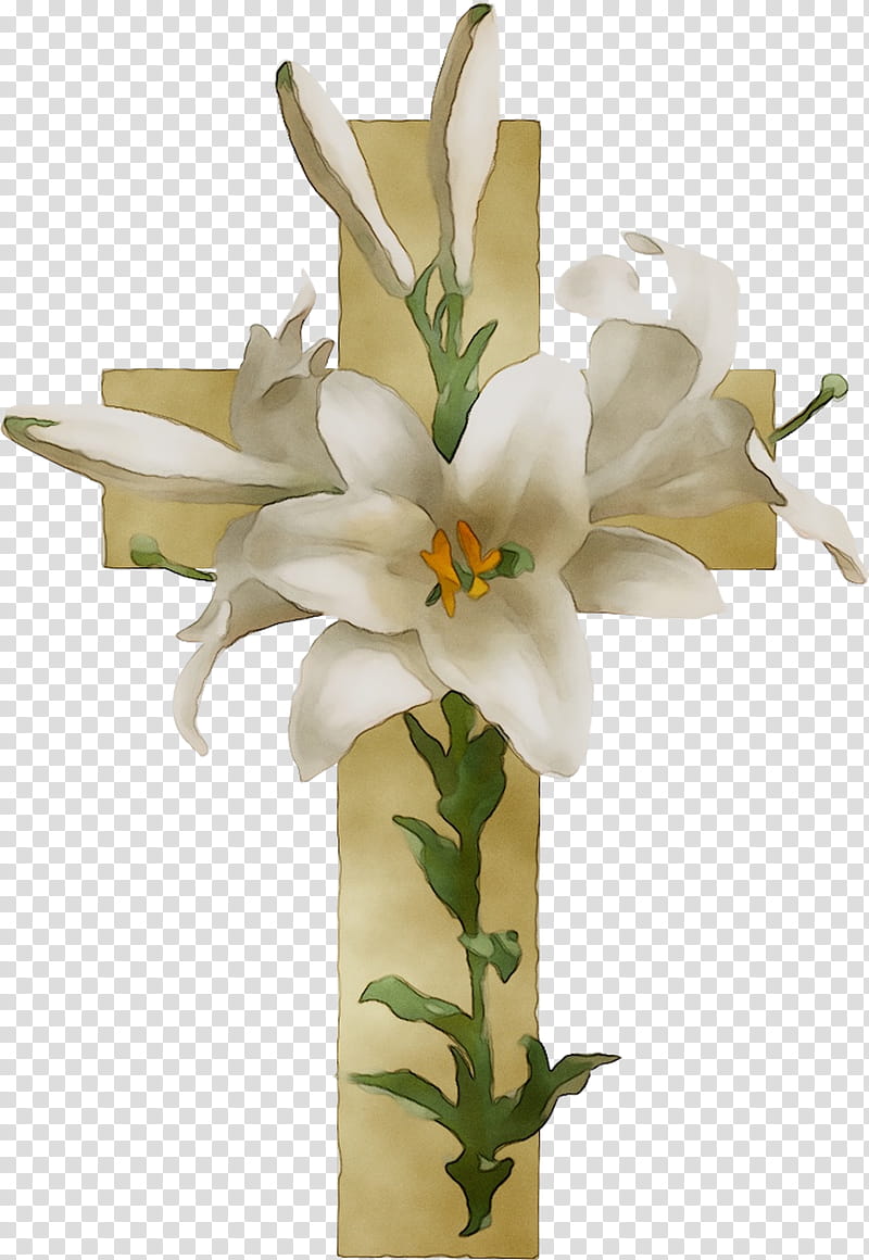 Easter Lily, Floral Design, Flower, BORDERS AND FRAMES, Flower Bouquet, Christian Cross, Cut Flowers, Funeral transparent background PNG clipart