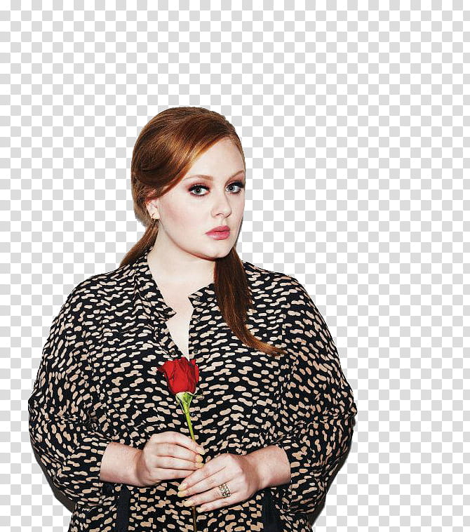 Adele transparent background PNG clipart