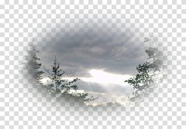 Cloud Computing, Tree, Computer, Sky, Atmospheric Phenomenon, Geological Phenomenon, Blackandwhite transparent background PNG clipart