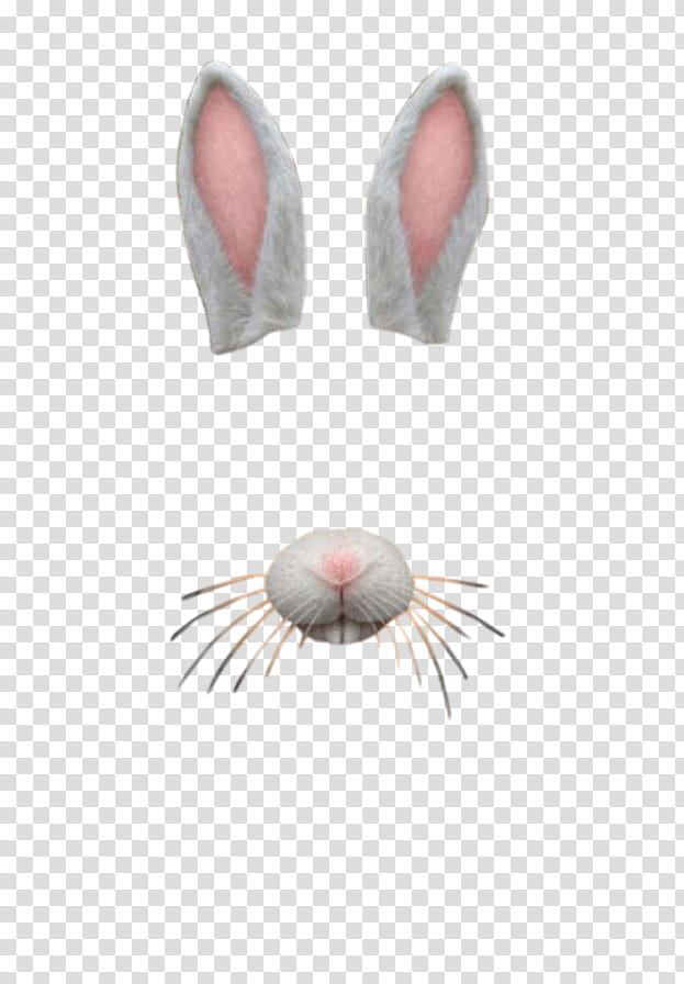 SNAPCHAT , bunny filter overlay transparent background PNG clipart