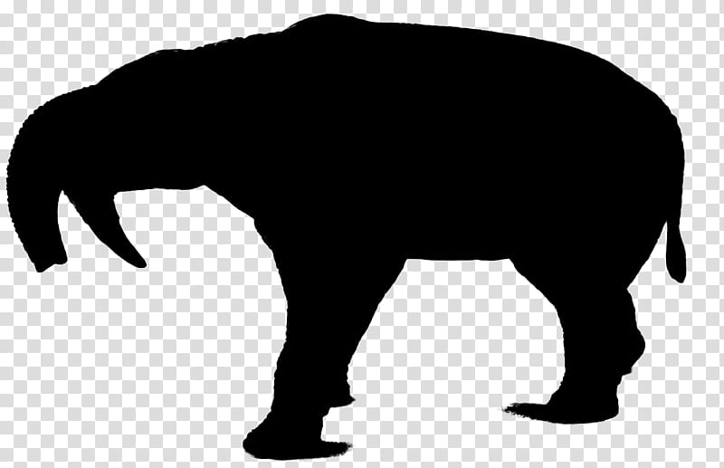 Albert Einstein, Wolf, Silhouette, Indian Elephant, Bear, Pack, Logo, Werewolf transparent background PNG clipart