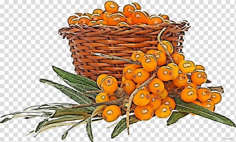 hippophae plant tangerine fruit flower, Kumquat, Natural Foods, Citrus, Mandarin Orange transparent background PNG clipart