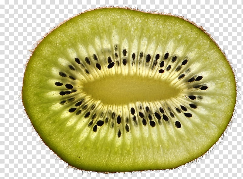 kiwifruit hardy kiwi green fruit flightless bird, Plant, Food transparent background PNG clipart