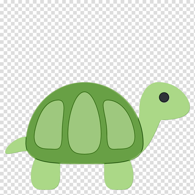 Sea Turtle, Expatriate, Laos, Tortoise, Vietnam, Coaching, Housing, Global Citizenship transparent background PNG clipart