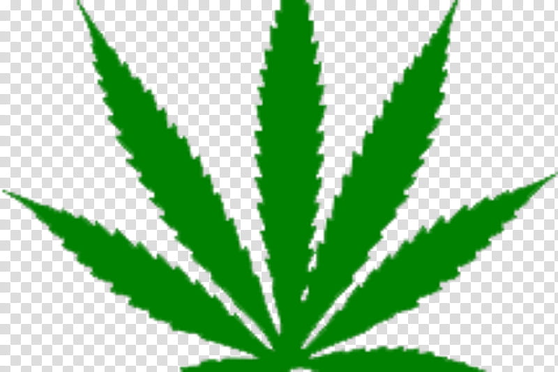 Cannabis Leaf, Medical Cannabis, Legality Of Cannabis, Hemp, Cannabis Cultivation, Marijuana, Cannabis In Papua New Guinea, Legalization transparent background PNG clipart