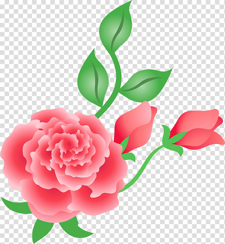 Background Family Day, Garden Roses, Flower, Petal, Floral Design, Cabbage Rose, Mothers Day, Flower Bouquet transparent background PNG clipart