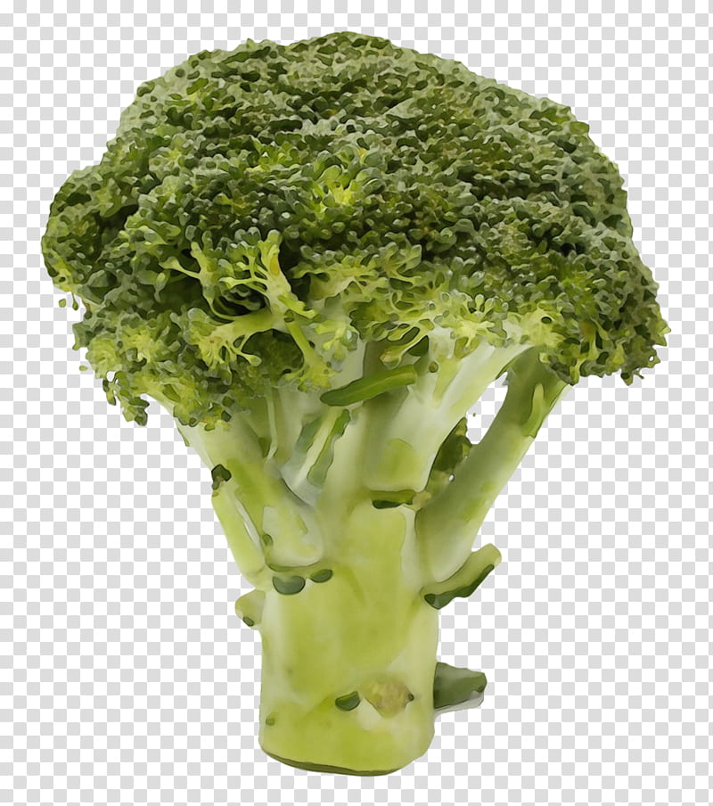 Vegetables, Broccoli, Cauliflower, Leaf Vegetable, Food, Cabbage, Broccoflower, Wild Cabbage transparent background PNG clipart