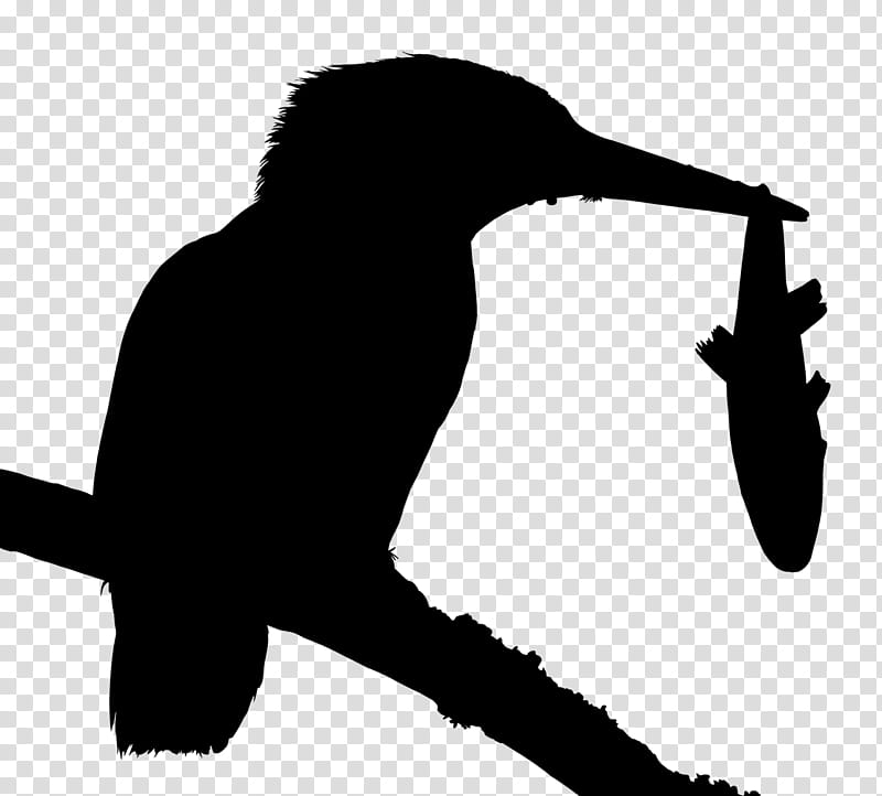 Hotel, Common Kingfisher, Brou Clar, Silhouette, Jarra Hotel, Footage, Alcedo, Hummingbird transparent background PNG clipart
