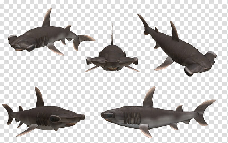 Spore Creature: Great Hammerhead Shark transparent background PNG clipart