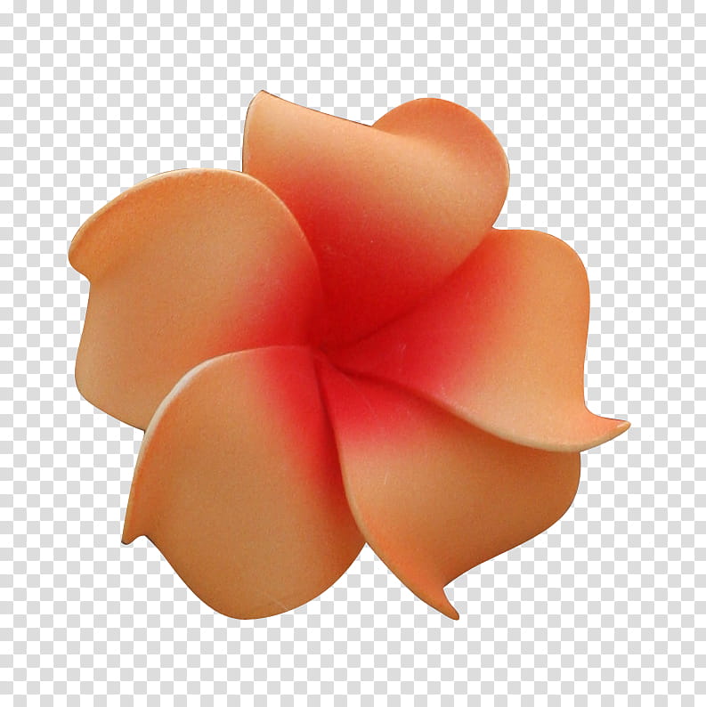 Tropical Flower, orange plumeria flower illustration transparent background PNG clipart