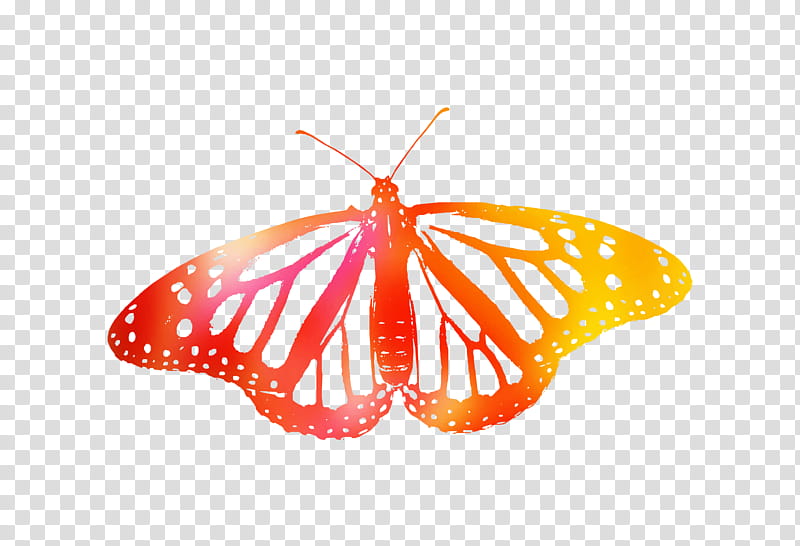 Monarch Butterfly, Brushfooted Butterflies, Moth, Tiger Milkweed Butterflies, Moths And Butterflies, Insect, Orange, Pollinator transparent background PNG clipart