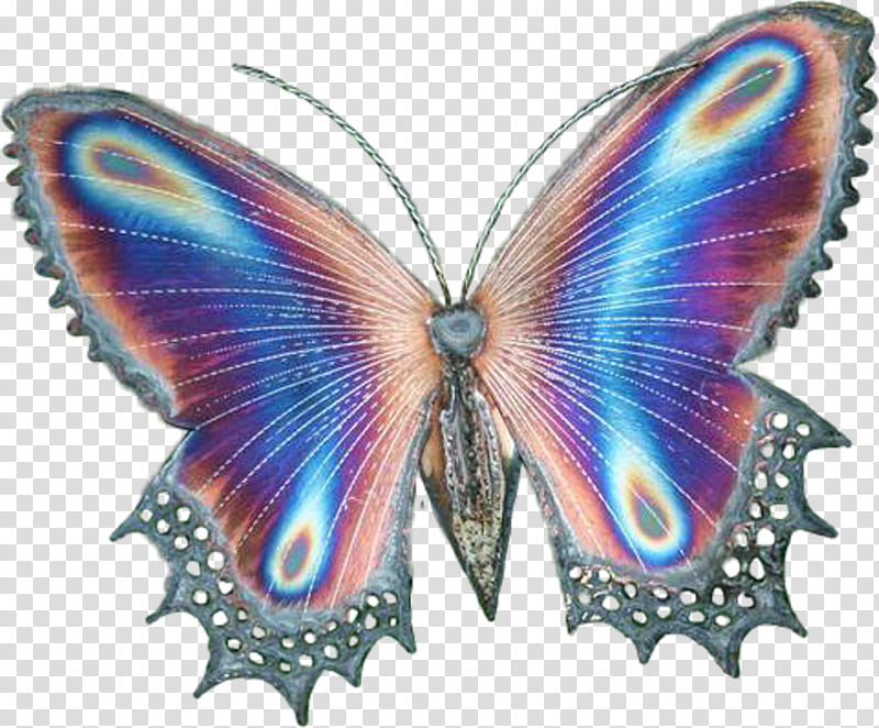 Butterfly Drawing, Brushfooted Butterflies, Insect, Glasswing Butterfly, Moth, Pieridae, Insect Wing, Editing transparent background PNG clipart