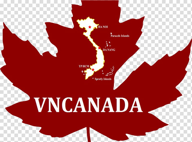 Canada Maple Leaf, Immigration Consultant, Student, Immigration To Canada, International Student, Toronto, Red, Tree transparent background PNG clipart