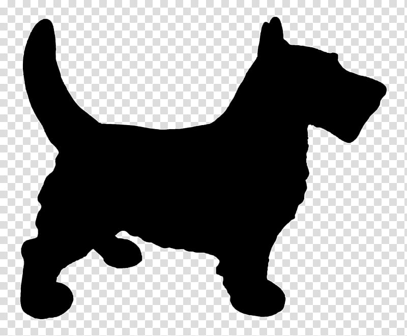 Dog And Cat, Scottish Terrier, Cairn Terrier, Puppy, West Highland White Terrier, Whiskers, Razas Nativas Vulnerables, Breed transparent background PNG clipart