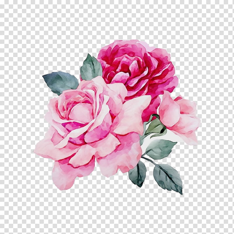 Flower Sticker PNG Image