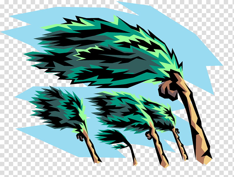 Tropical Leaf, Wind, Storm, Climate, Weather, Cloud, Wind Power, Tropical Cyclone transparent background PNG clipart