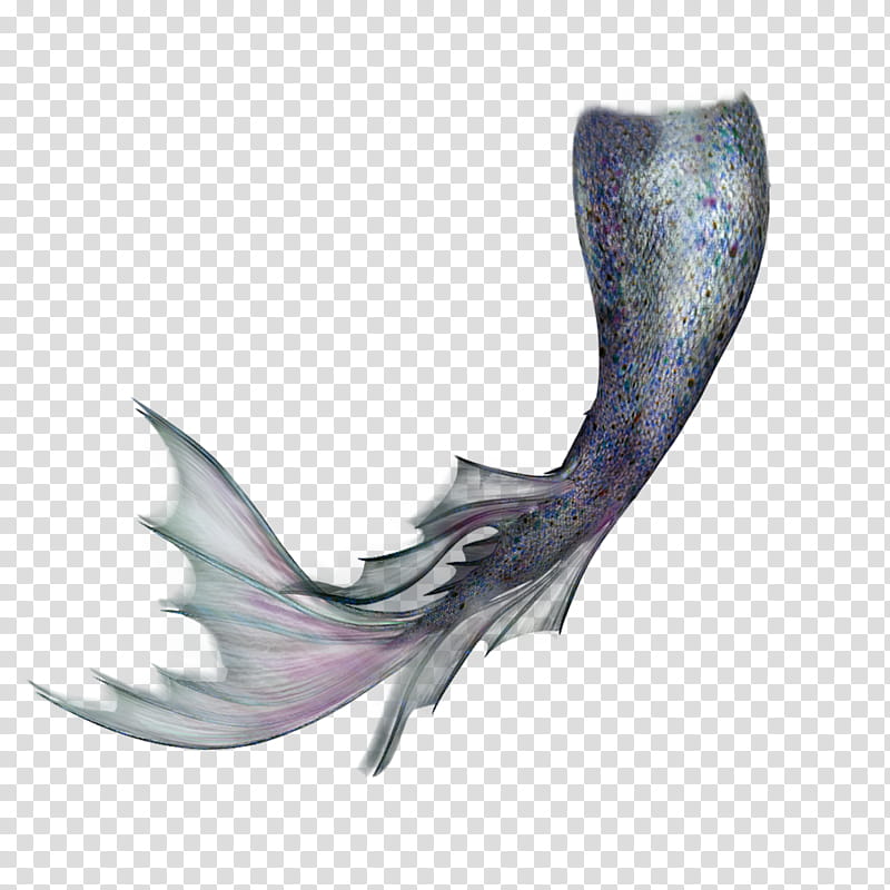 Mermaid Tail, mermaid tail transparent background PNG clipart