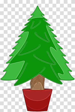 Christmas tree, Watercolor, Paint, Wet Ink, Colorado Spruce, Oregon Pine, Christmas Decoration, Green transparent background PNG clipart thumbnail
