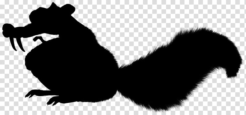 Cat Silhouette, Maine Coon, Persian Cat, Kitten, Raccoon, Domestic Longhaired Cat, Squirrel, Tail transparent background PNG clipart