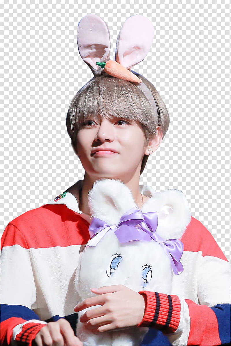 Tae Hyung BTS transparent background PNG clipart