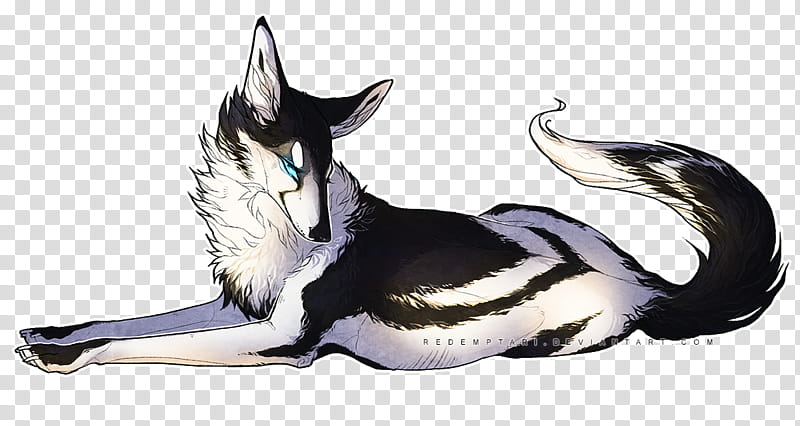 Dog And Cat, Artist, Google Docs, Fur, Computer Servers, Paw, Wolfdog, Siberian Husky transparent background PNG clipart