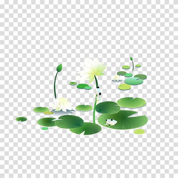 Green Grass, Sacred Lotus, Ink Wash Painting, Creativity, Flower, Flora, Leaf, Plant transparent background PNG clipart