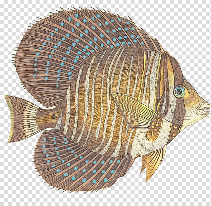 fish fish tilapia butterflyfish bony-fish, Watercolor, Paint, Wet Ink, Bonyfish, Pomacanthidae transparent background PNG clipart