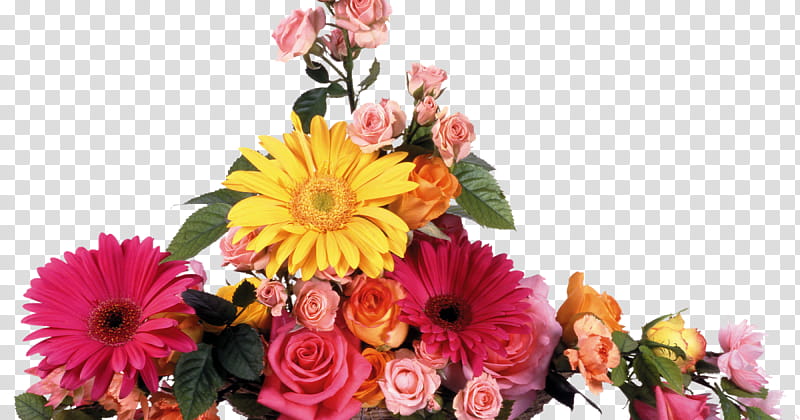 Lily Flower, Flower Bouquet, Transvaal Daisy, Floral Design, Carnation, Rose, Vase, Garden Roses transparent background PNG clipart