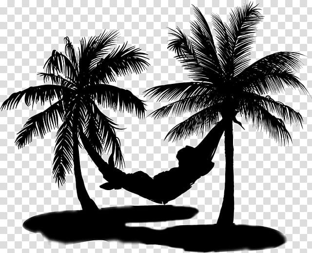 Coconut Tree Drawing, Tshirt, Palm Trees, Silhouette, Arecales, Woody Plant, Blackandwhite, Attalea Speciosa transparent background PNG clipart