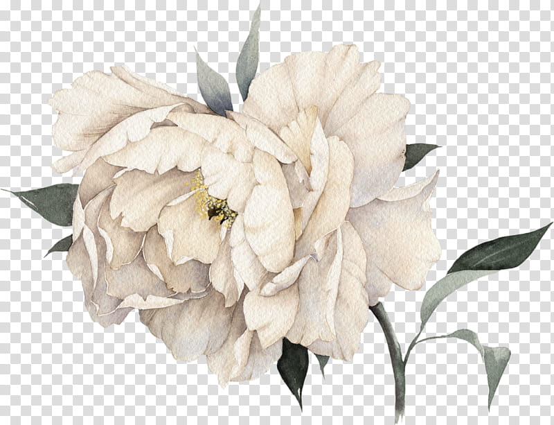 Bouquet Of Flowers Drawing, Watercolor Painting, Peony, Floral Design, Simple Shapes Peony Flowers Wall Sticker, Wall Decal, Rose, White transparent background PNG clipart