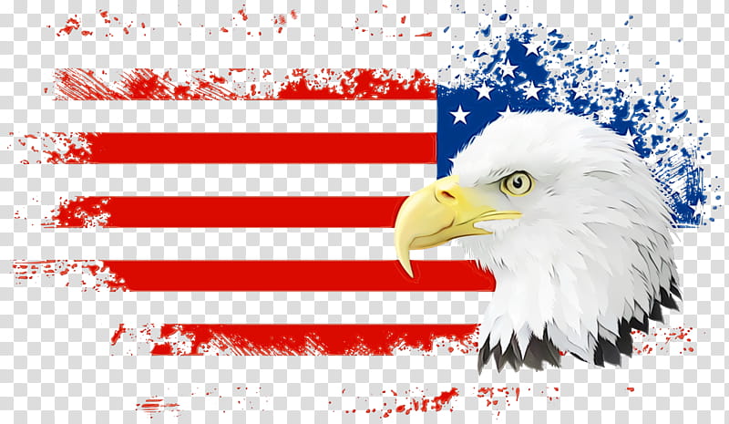 Veterans Day Independence Day, Fourth Of July, 4th Of July, American Flag, Eagle, Bald Eagle, Beak, Bird transparent background PNG clipart