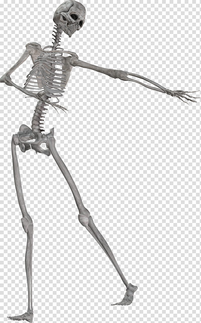gray skeleton transparent background PNG clipart