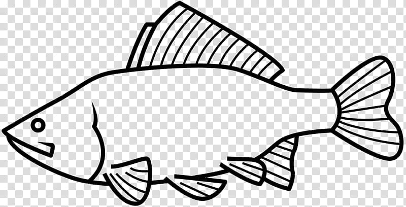 Book Black And White, Black White M, Fish, Line, Angle, Line Art, Coloring Book, Tail transparent background PNG clipart