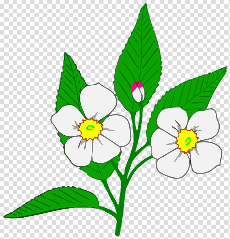 Flowers, Drawing, Blossom, Apple, Plant, Flora, Leaf, Petal transparent background PNG clipart