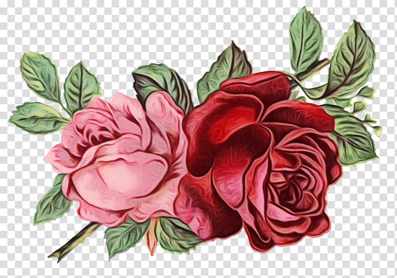 Bouquet Of Flowers Drawing, Rose, Garden Roses, Floral Design, Black ...