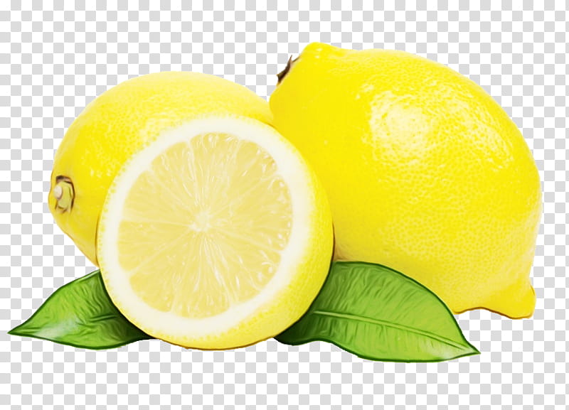 lemon citrus yellow fruit lemon peel, Watercolor, Paint, Wet Ink, Persian Lime, Sweet Lemon, Citric Acid, Lemonlime transparent background PNG clipart