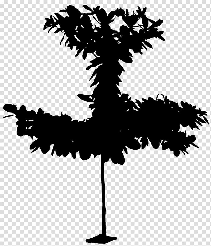 Cartoon Palm Tree, Almond, Ptychosperma Macarthurii, Mexican Fan Palm, Branch, Madagascar Almond, Plants, Indianalmond transparent background PNG clipart