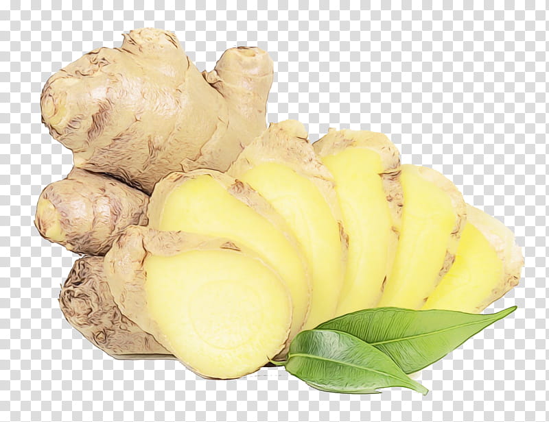 ginger vegetable plant tuber root vegetable, Watercolor, Paint, Wet Ink, Food, Flower, Ingredient, Herbaceous Plant transparent background PNG clipart