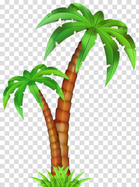 Palm Tree Leaf, Cartoon, Palm Trees, Green, Flowerpot, Vegetation, Plant, Terrestrial Plant transparent background PNG clipart