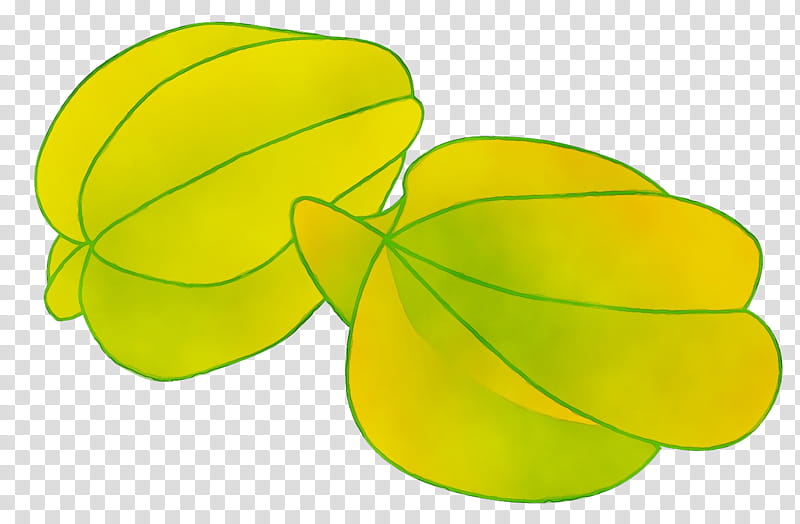 leaf yellow green plant, Watercolor, Paint, Wet Ink, Wood Sorrel Family, Petal, Fruit, Symbol transparent background PNG clipart