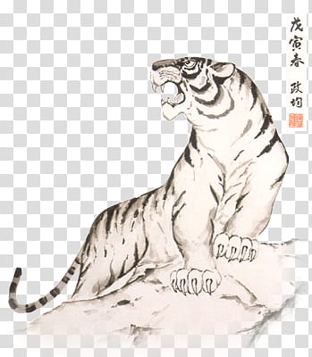 Tiger Drawing s, white and brown tiger illustration transparent background PNG clipart
