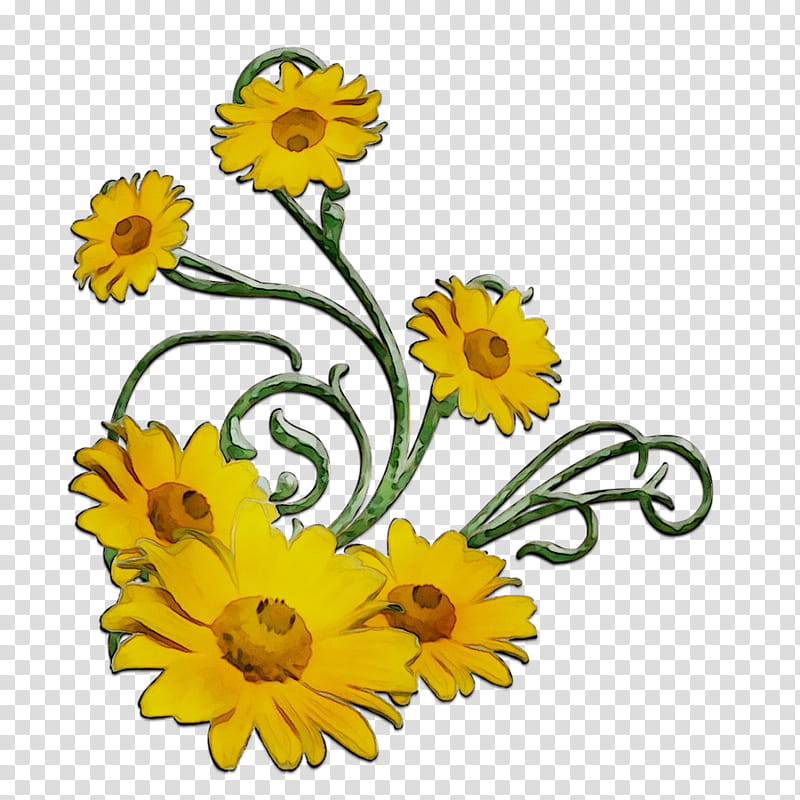 Floral Flower, Common Sunflower, Chrysanthemum, Floral Design, Cut Flowers, Oxeye Daisy, Transvaal Daisy, Flower Bouquet transparent background PNG clipart
