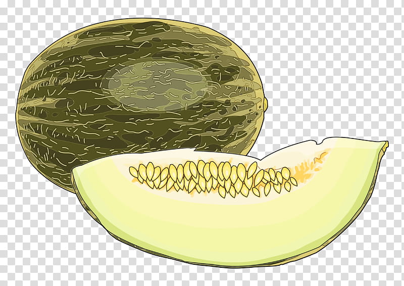galia muskmelon honeydew cantaloupe melon, Watercolor, Paint, Wet Ink, Yellow, Fruit, Cucumis, Jaw transparent background PNG clipart