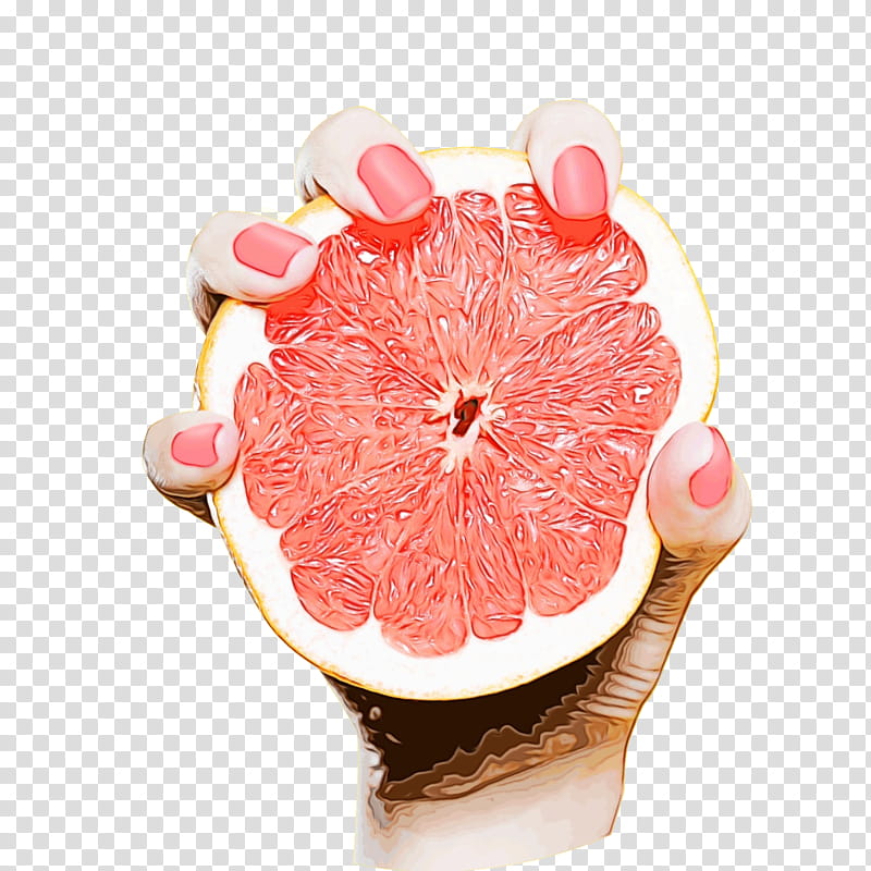 Pink, Grapefruit, Peach, Citrus, Hand, Food, Petal, Ceramic transparent background PNG clipart