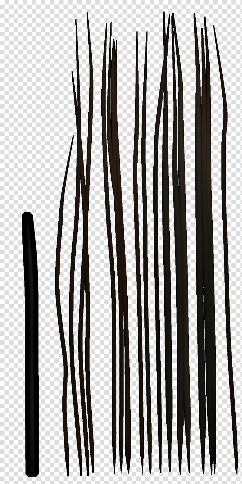 Blair Witch, black stripe art illustration transparent background PNG clipart