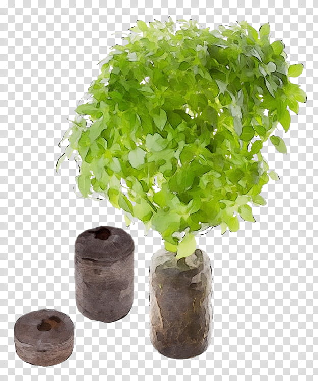 Flowerpot Tregren Kitchen garden Gardening, Watercolor, Paint, Wet Ink, Tregren Genie Kitchen Garden Grey, Herb, Fines Herbes, Seed transparent background PNG clipart