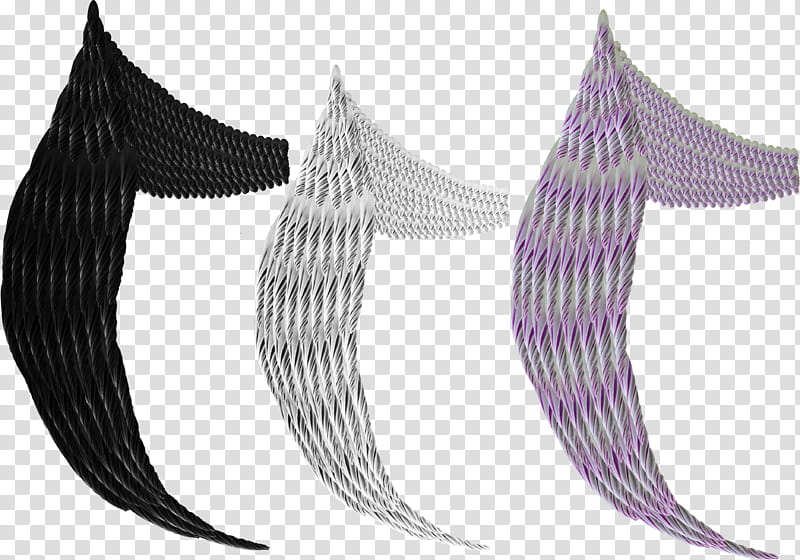 Feathered Wings, three assorted color wings transparent background PNG clipart